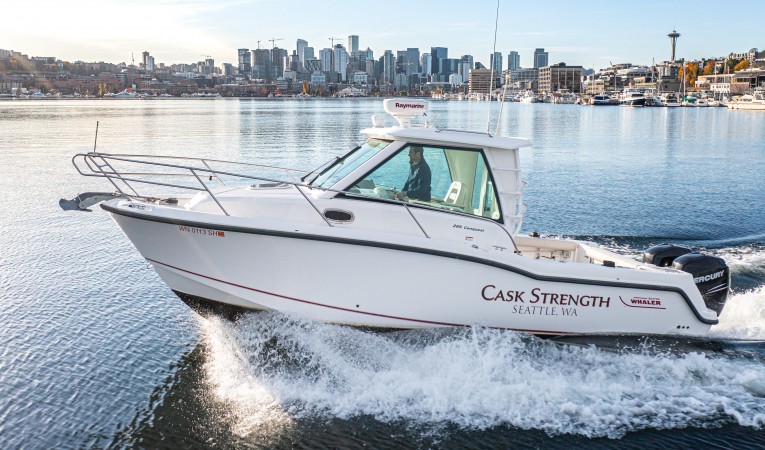 28 Boston Whaler 