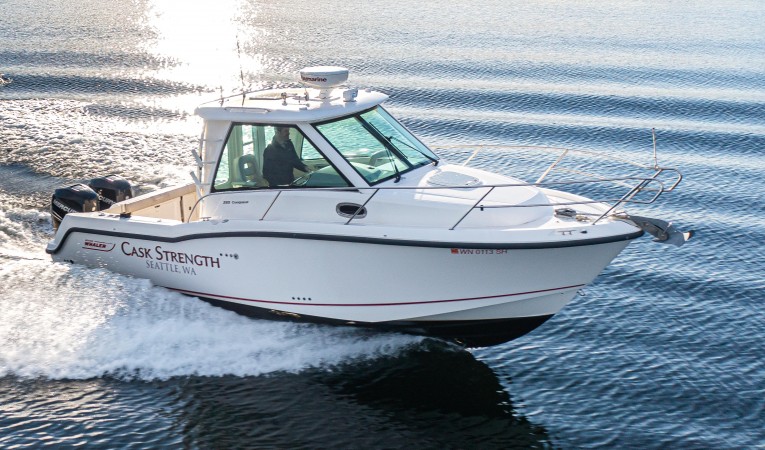 28 Boston Whaler 
