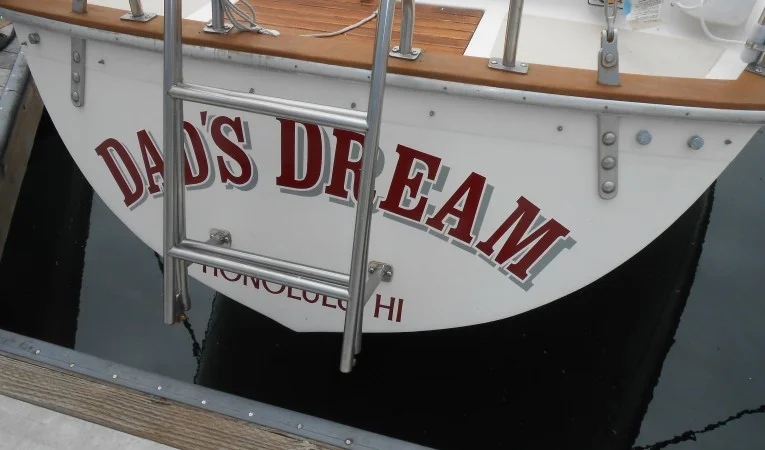 38 Morgan Boarding ladder