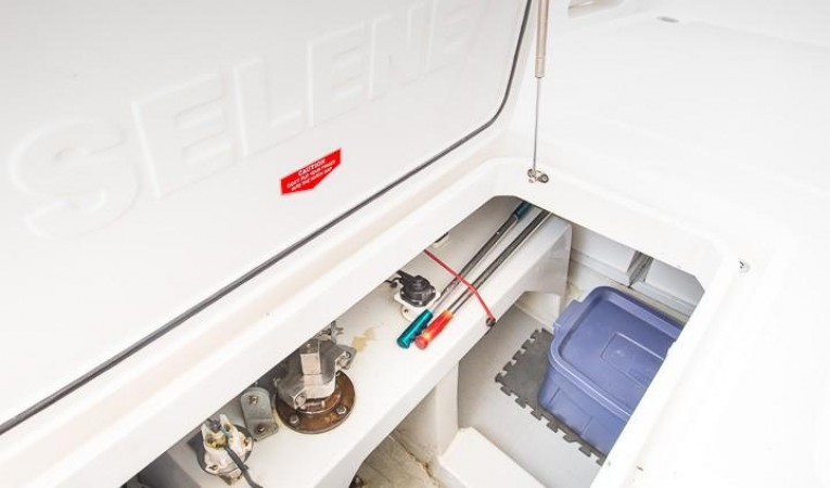 43 Selene Cockpit Lazz