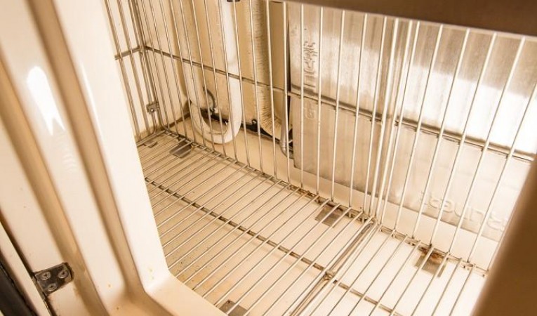 43 Selene Commissary Freezer