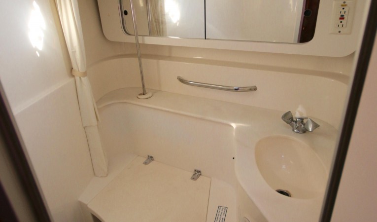 38 Morgan Forward head and shower