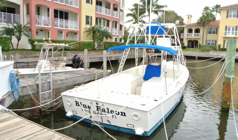 31 Bertram 31 Bertram Blue Falcon Quarter
