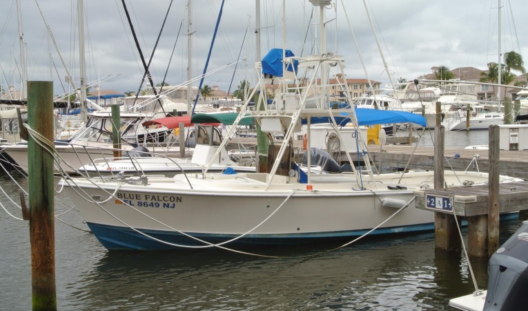 31 Bertram 31 Bertram Blue Falcon Pofile