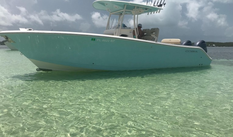 28 Cobia 