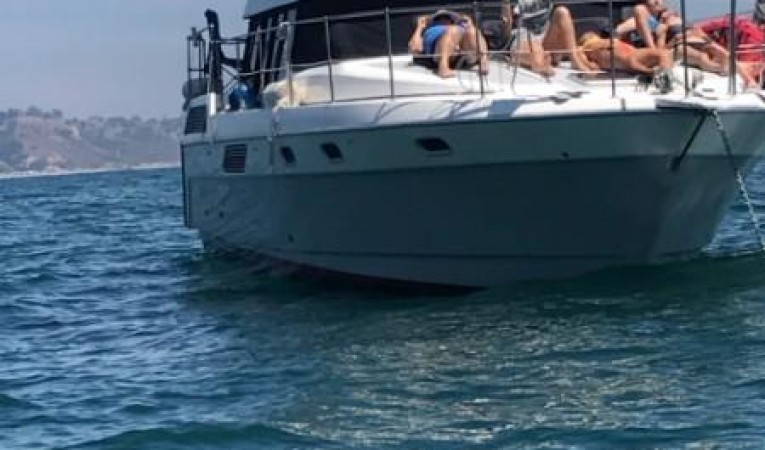 43 Bayliner Sun Deck