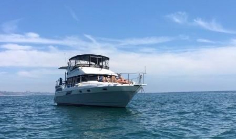 43 Bayliner Sailing