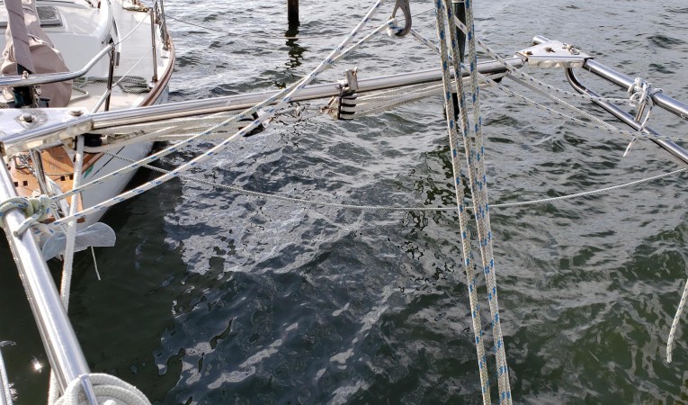 41 Morgan Stainless steel Davits