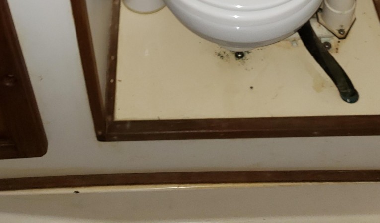 41 Morgan Forward Head 2