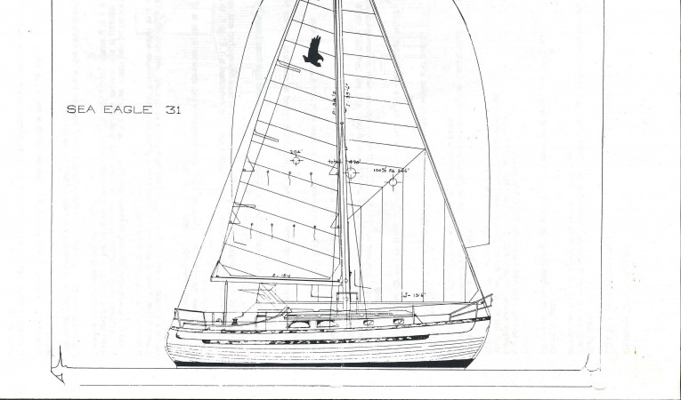 31 Sea Eagle Sail plan