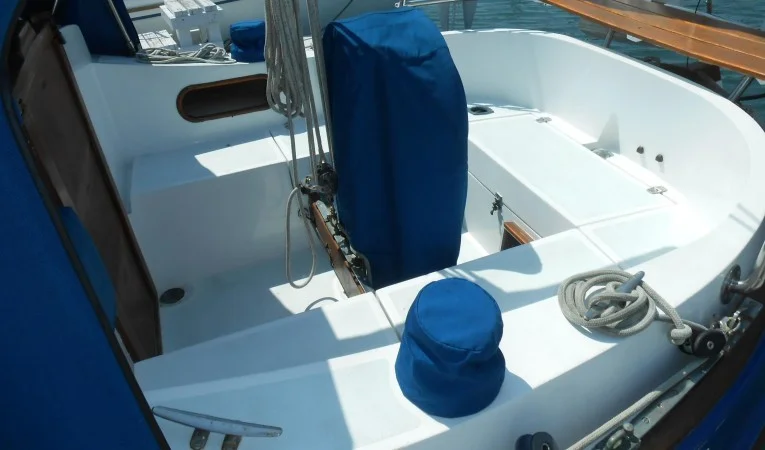 31 Sea Eagle Cockpit