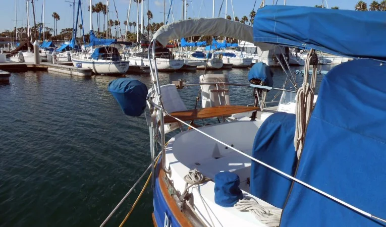 31 Sea Eagle Bimini for cockpit