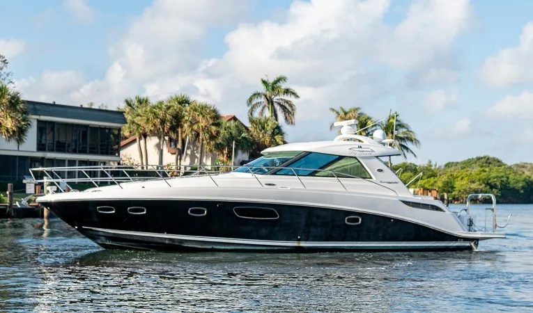45 Sea Ray 