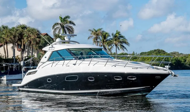 45 Sea Ray 