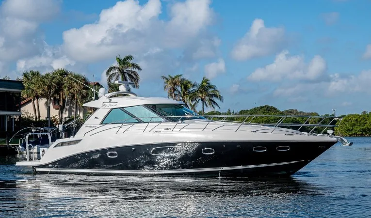 45 Sea Ray 