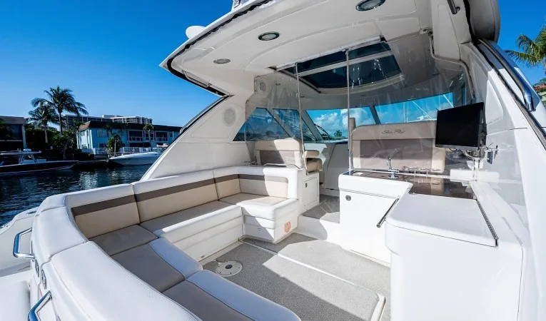 45 Sea Ray 
