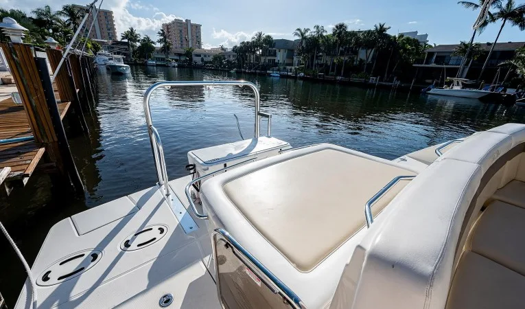45 Sea Ray 