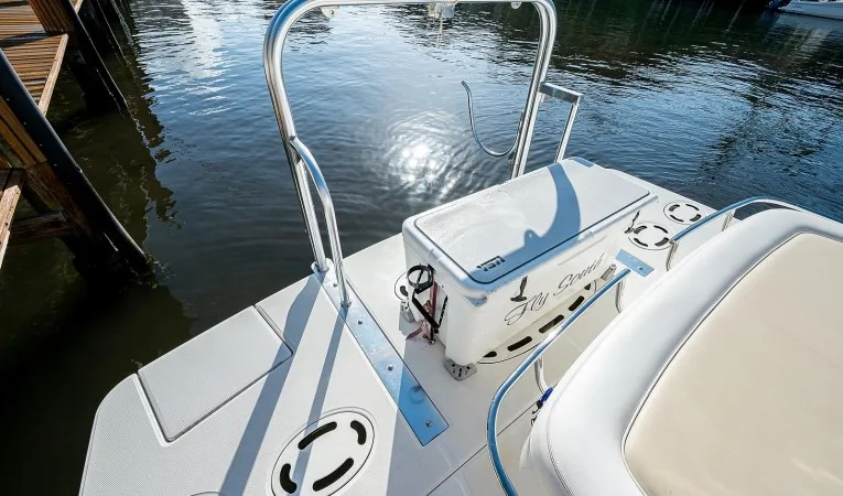 45 Sea Ray 