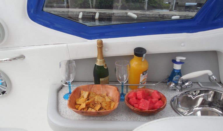 50 Nor-Tech Cockpit Sink