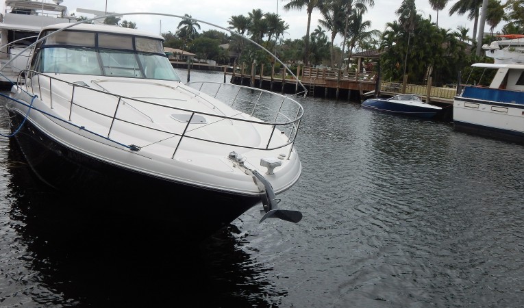 50 Sea Ray Forward view