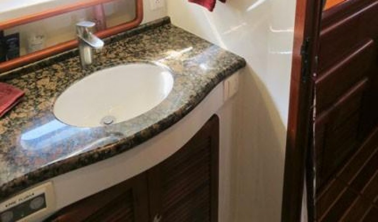 52 Seahorse Master Head & shower