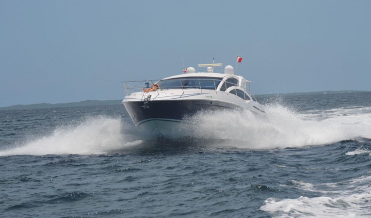 54 Savannah Bow Running