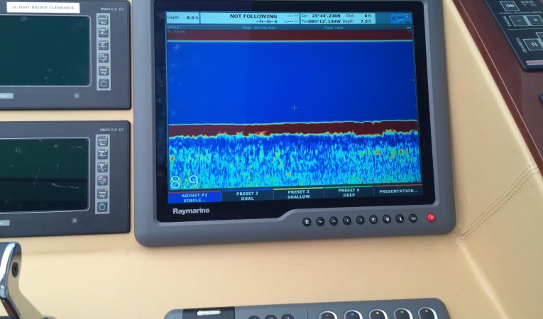 54 Savannah Close Up Helm