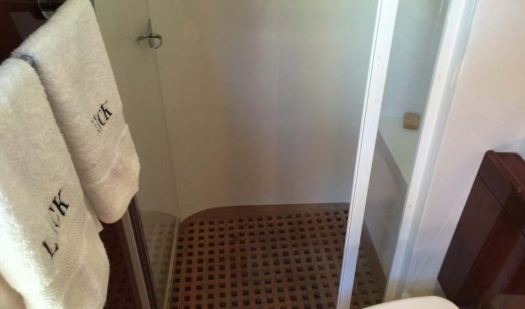 54 Savannah Guest Stall Shower