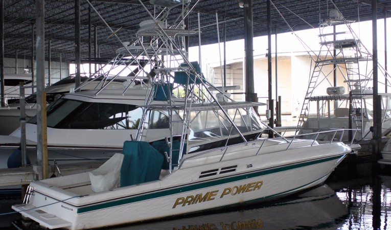 37 Intrepid 