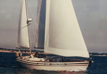 Dutchess 41' Contest 1985