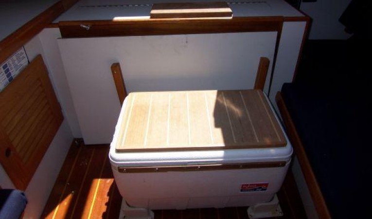 28 Alerion Cooler Step