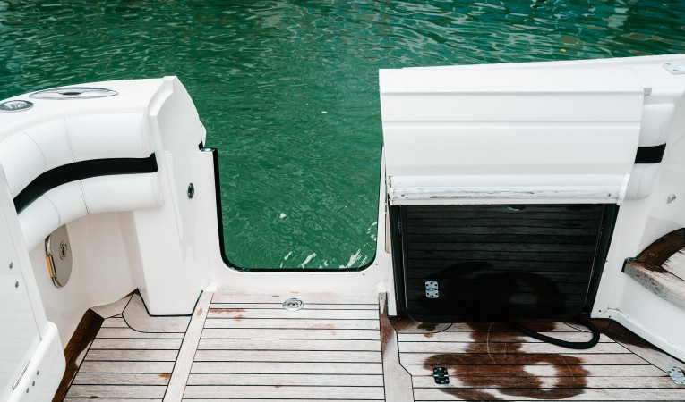 47 Intrepid Swing-In Dive Door with Fold-Out Ladder