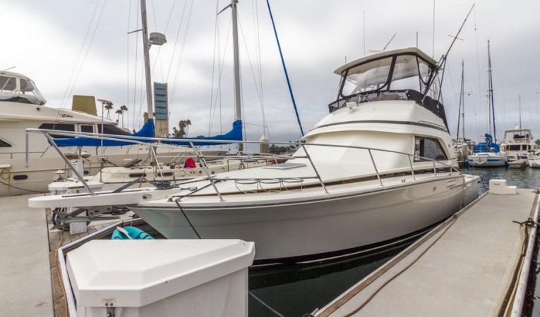 37 Bertram Port Side