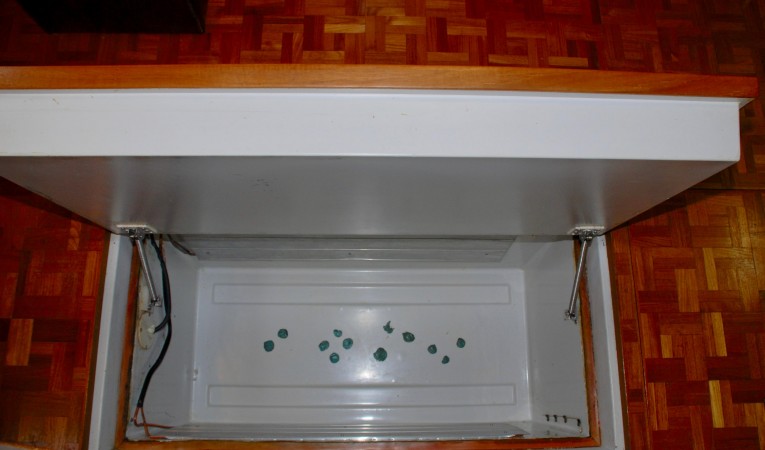 42 Cruise-A-Home In Floor Freezer II