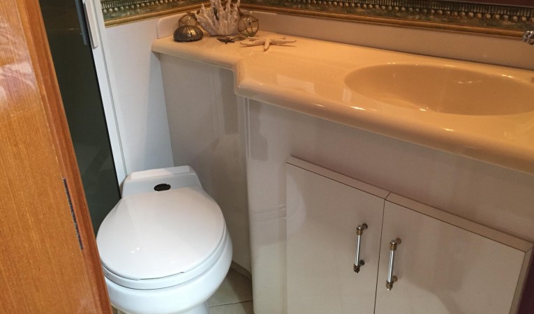 50 Viking Guest Head