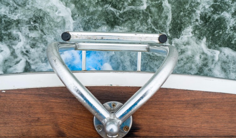 30 Gamefisherman Swim Ladder