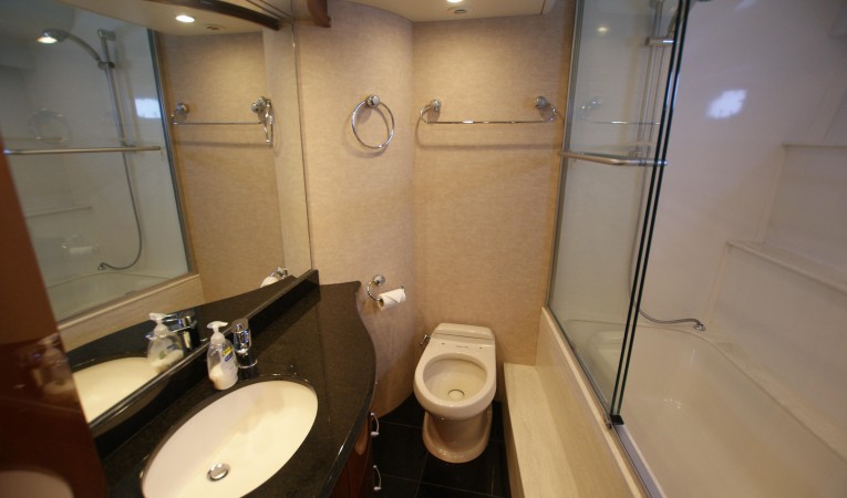 59 Marquis master head and shower