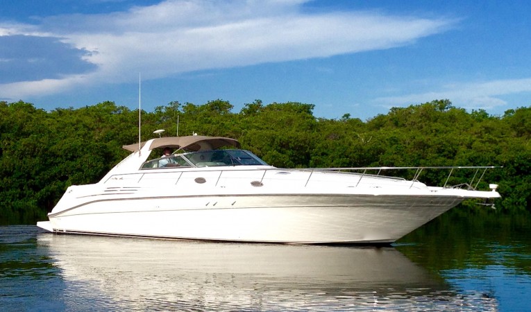 45 Sea Ray 