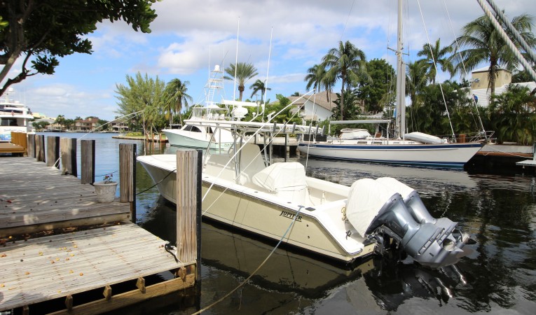 34 Jupiter Fighting Lady Yellow