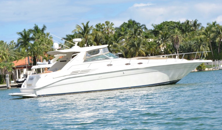 45 Sea Ray 