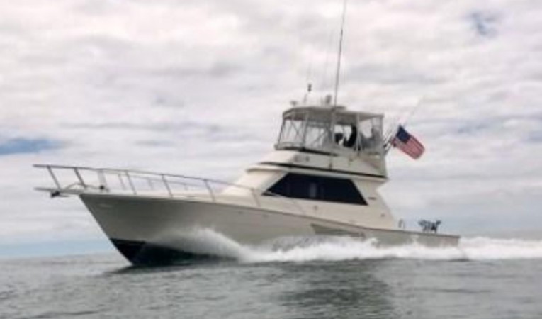 38 Viking 