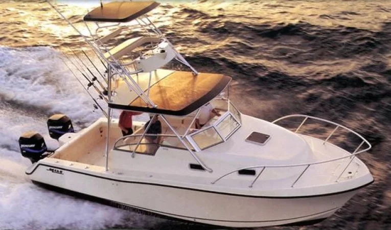 31 Mako Sistership