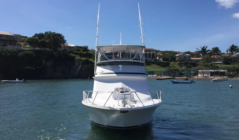 38 Blackfin 