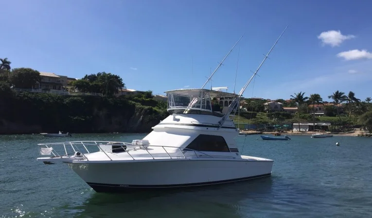 38 Blackfin 