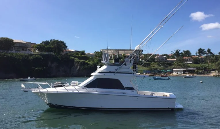 38 Blackfin 
