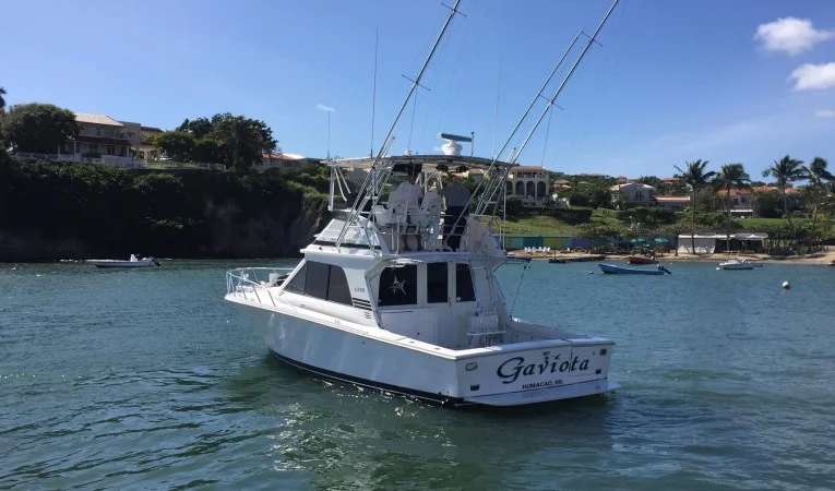 38 Blackfin 
