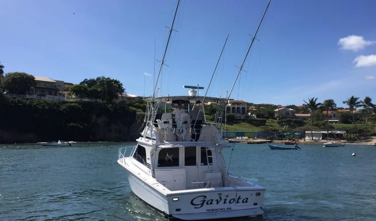 38 Blackfin 