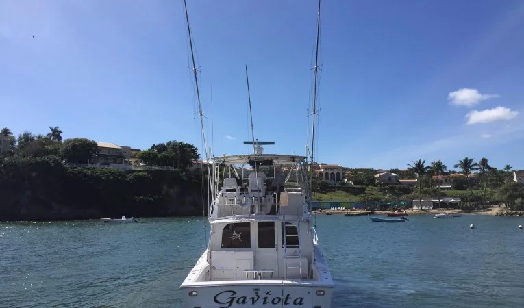 38 Blackfin 