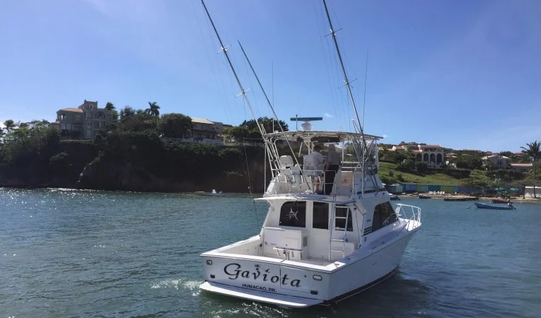 38 Blackfin 