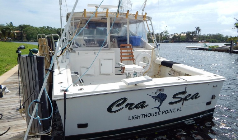 38 Blackfin Transom View